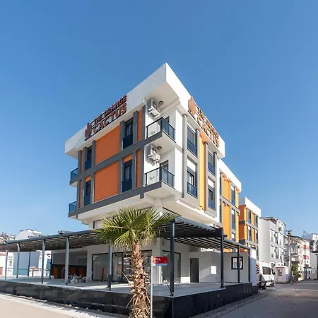 The Orange Cactus 3*